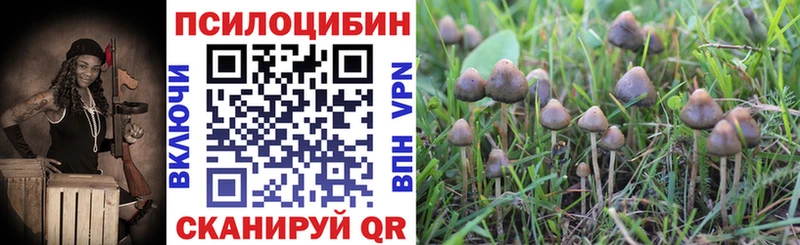 Галлюциногенные грибы ЛСД Хабаровск